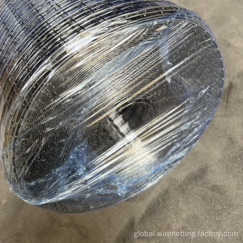 Electro Galvanized Welded Wire Mesh Factory price 1x1 galvanized welded wire mesh rolls Manufactory